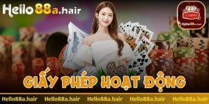 Giấy phép hoạt động